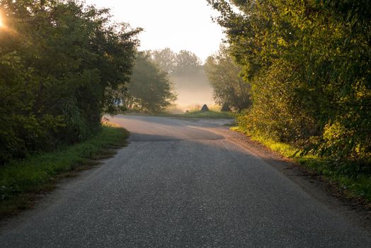 The road, which at the bend is illuminated by sunlight. It represented inspiration, God's apparitions, enlightenment