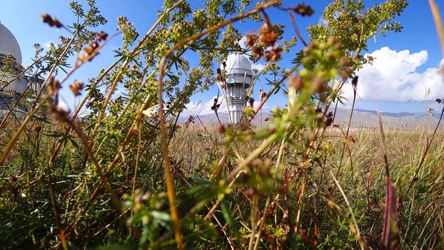 Large buildings of the observatory in the form of a dome. The telescopes are closed. Beautiful tall yellow-green grass develops in the wind. Blue sky and green hills in the distance. The Assy Plateau