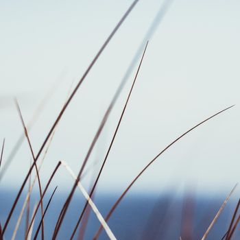 Beauty in nature, balanced lifestyle, environmental concept - Rustic summer field