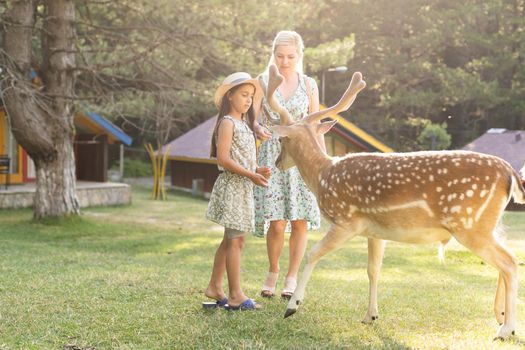 Photo of a young girl feeding deer and hugs him.