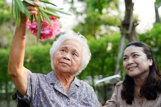 Asian elderly woman enjoy in flower garden with caregiver in park.