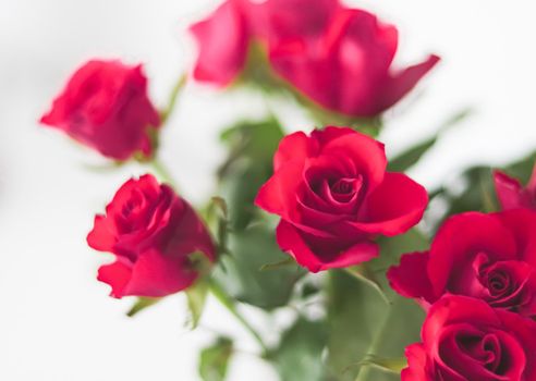 Tender bouquet of pink roses, floral gift and beautiful flowers closeup