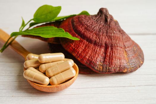 Lingzhi or Reishi mushroom with capsules, organic natural healthy food.