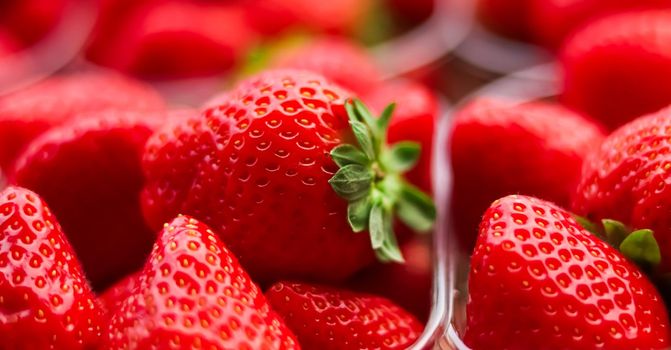 Strawberries packaged in box, sweet ripe perfect strawberry harvest, organic garden and agriculture concept