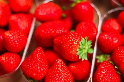 Strawberries packaged in box, sweet ripe perfect strawberry harvest, organic garden and agriculture concept