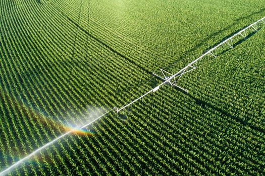 sprinklers watering a crop and making a rainbow