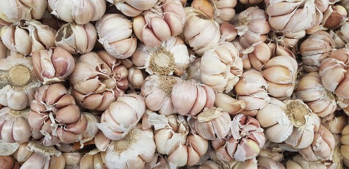 Garlic bulbs on black background, close-up. Organic garlic top view. Food background. Selective focus.