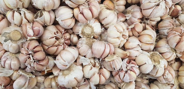 Garlic bulbs on black background, close-up. Organic garlic top view. Food background. Selective focus.