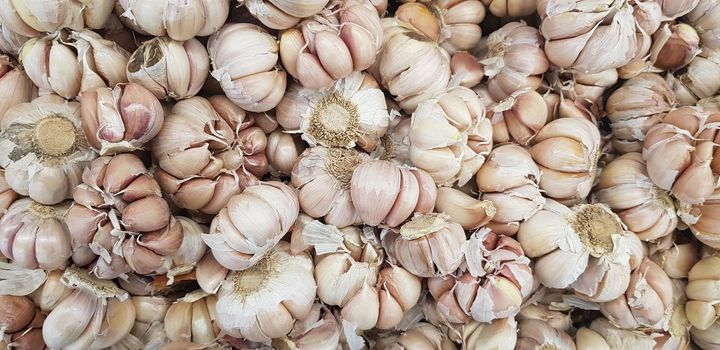 Garlic bulbs on black background, close-up. Organic garlic top view. Food background. Selective focus.