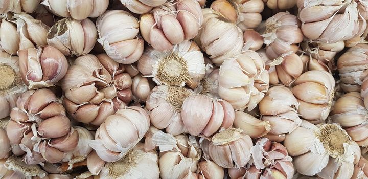 Garlic bulbs on black background, close-up. Organic garlic top view. Food background. Selective focus.