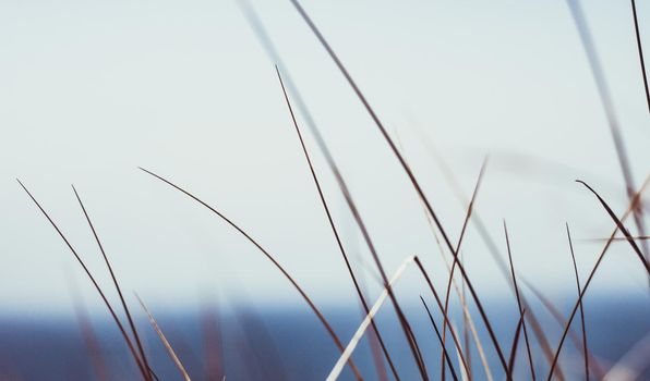 Beauty in nature, balanced lifestyle, environmental concept - Rustic summer field