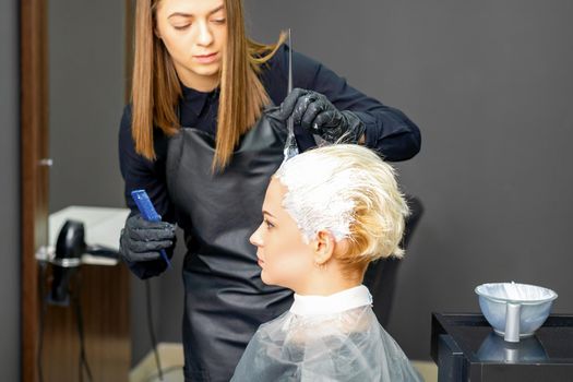 Female hairdressers dyeing hair of young caucasian woman in hair salon