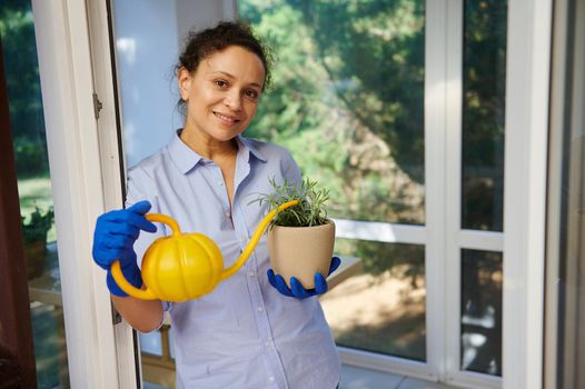 Pleasant housewife, middle-aged multi-ethnic woman in blue rubber gloves smiles looking at camera while watering a potted rosemary plant with a watering can, enjoying household chores and floriculture