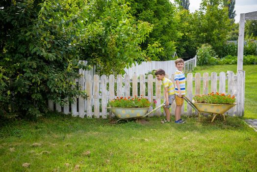 Two Little boys is playing holding a retro wheelbarrow with a harvest of flowers. Summer vocation on village concept.