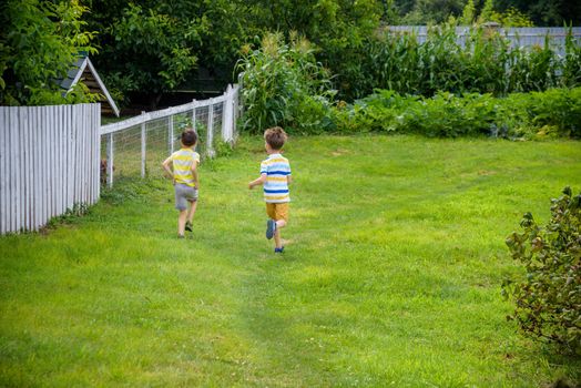 Two boys running in the summer at the domestic garden in the village outdoor. Friendship and leisure in countryside concept.