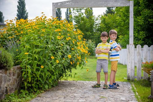 Portrait of two boys in the summer at the domestic garden in the village outdoor. Friendship and leisure in countryside concept.