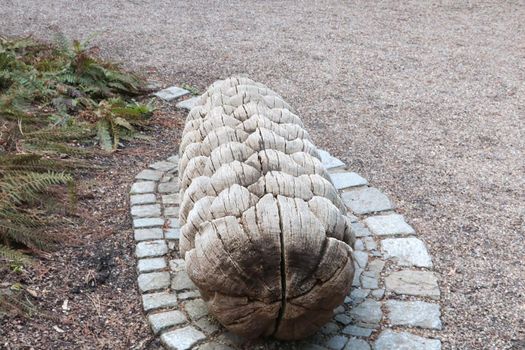 Beautiful big wooden cone on the ground. Bench to sit