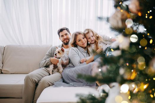 Happy family: mom, dad and pet. Family in a bright New Year's interior with a Christmas tree.