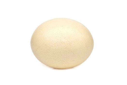 Image of ostrich egg isolated on white background.