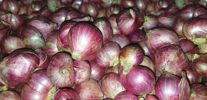 Group of Shallots onion Fresh purple shallots or Allium cepa, close up picture in the market