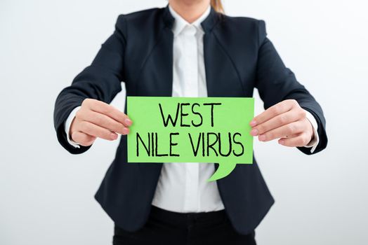 Conceptual caption West Nile Virus, Business approach Viral infection cause typically spread by mosquitoes Business Team Standing On Staircase To Success With Trophy And Money Bag.