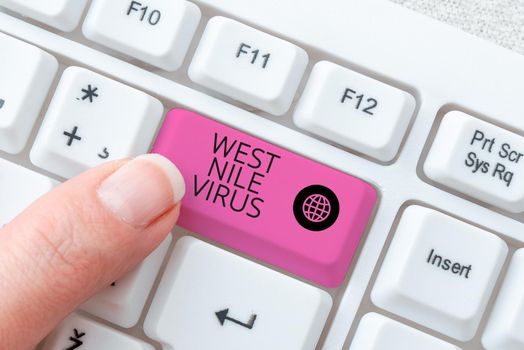 Text sign showing West Nile Virus, Word for Viral infection cause typically spread by mosquitoes Businesswoman Holding Pen And Note With Important Message With One Hand.