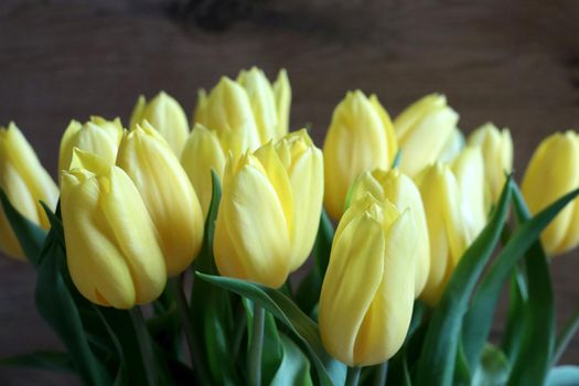 Beautiful bouquet of yellow tulips. Congratulations on your holiday and Birthday