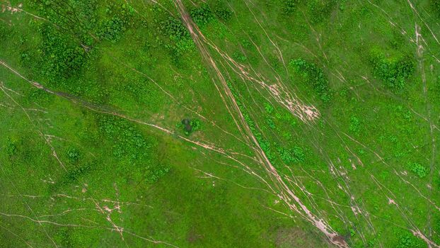 Aerial view of green pasture on a sunny day. Beautiful green area of agricultural land or grazing in the rainy season of northern Thailand.