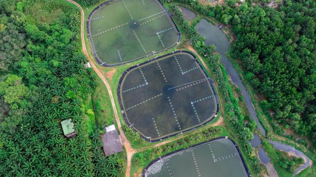 Aerial view of sewage treatment plant. Industrial wastewater treatment plant in Southern Thailand. Sewage Farm