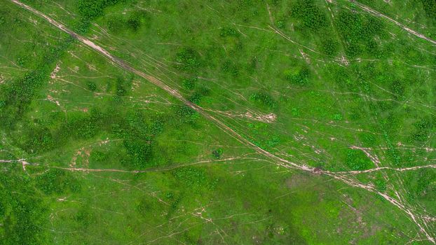 Aerial view of green pasture on a sunny day. Beautiful green area of agricultural land or grazing in the rainy season of northern Thailand.