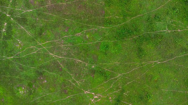 Aerial view of green pasture on a sunny day. Beautiful green area of agricultural land or grazing in the rainy season of northern Thailand.