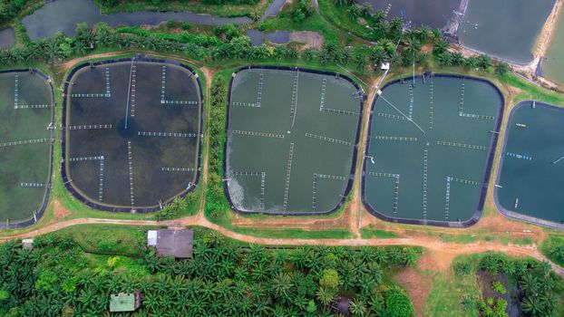 Aerial view of sewage treatment plant. Industrial wastewater treatment plant in Southern Thailand. Sewage Farm