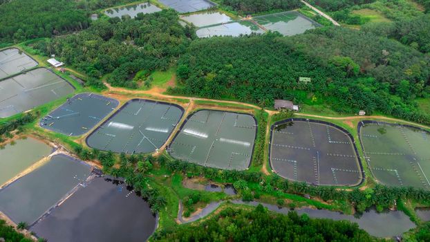 Aerial view of sewage treatment plant. Industrial wastewater treatment plant in Southern Thailand. Sewage Farm