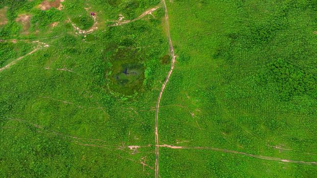 Aerial view of green pasture on a sunny day. Beautiful green area of agricultural land or grazing in the rainy season of northern Thailand.