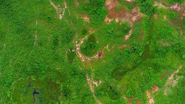 Aerial view of green pasture on a sunny day. Beautiful green area of agricultural land or grazing in the rainy season of northern Thailand.