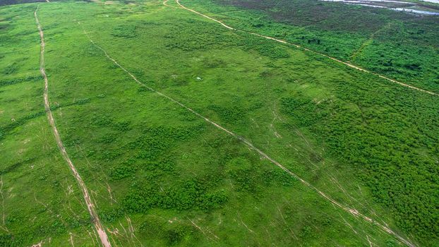 Aerial view of green pasture on a sunny day. Beautiful green area of agricultural land or grazing in the rainy season of northern Thailand.