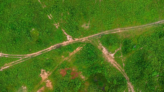 Aerial view of green pasture on a sunny day. Beautiful green area of agricultural land or grazing in the rainy season of northern Thailand.