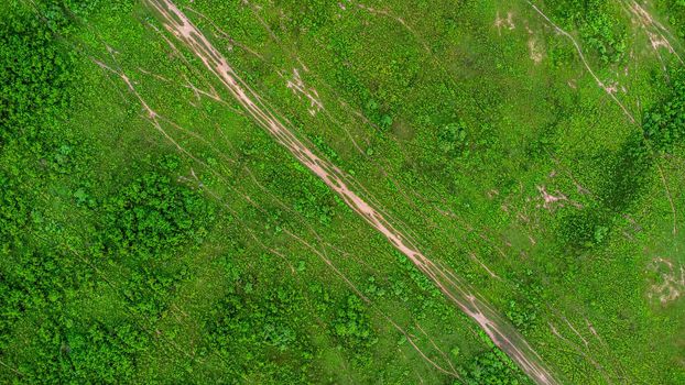 Aerial view of green pasture on a sunny day. Beautiful green area of agricultural land or grazing in the rainy season of northern Thailand.