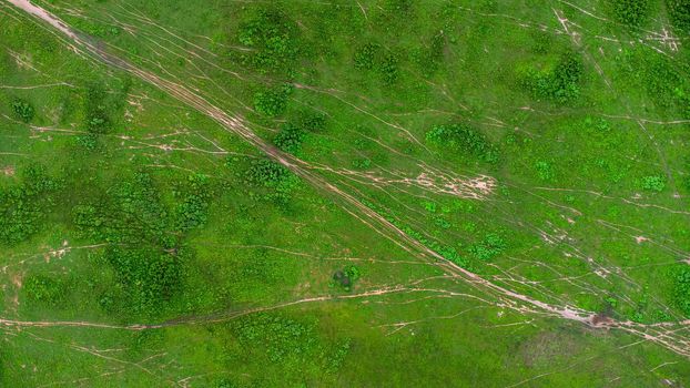 Aerial view of green pasture on a sunny day. Beautiful green area of agricultural land or grazing in the rainy season of northern Thailand.