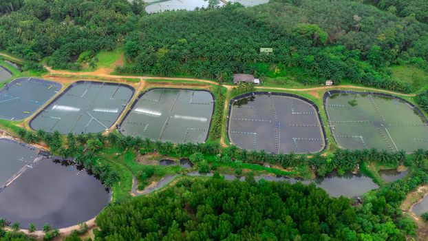 Aerial view of sewage treatment plant. Industrial wastewater treatment plant in Southern Thailand. Sewage Farm