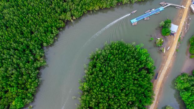 Aerial view of Thai traditional longtail fishing boats at the pier in Phang Nga Bay in the Andaman Sea, Thailand. Top view of many fishing boats floating in the sea among mangrove forest.