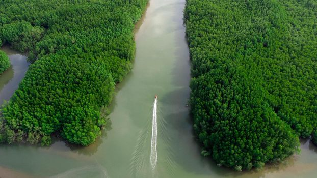 Aerial view of a Thai traditional longtail boat sailing in Phang Nga Bay among the fertile mangrove forests of the Andaman Sea, Thailand.