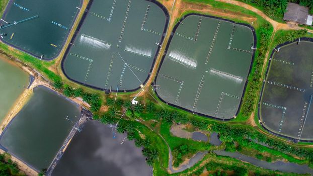 Aerial view of sewage treatment plant. Industrial wastewater treatment plant in Southern Thailand. Sewage Farm