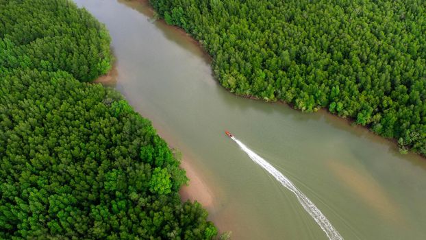 Aerial view of a Thai traditional longtail boat sailing in Phang Nga Bay among the fertile mangrove forests of the Andaman Sea, Thailand.