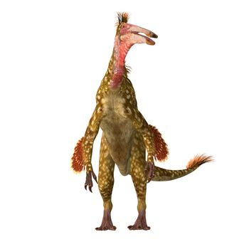 Deinocheirus was a predatory theropod dinosaur that lived during the Cretaceous Period of Mongolia.