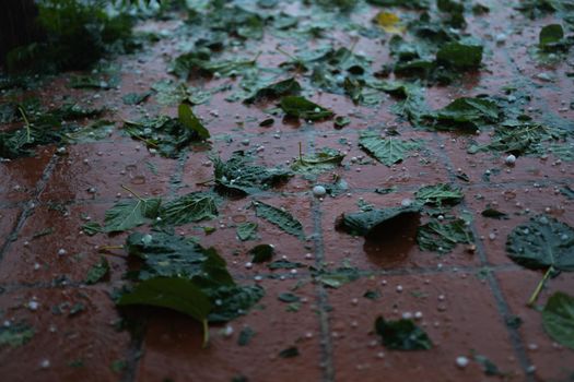 detail of the ground after the Hail Storm caused by the meteorological phenomenon DANA in Barcelona- El Bruc, Spain 25 August 2022 natural light