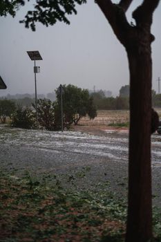 detail of tree breakage caused by the hail storm caused by the meteorological phenomenon DANA in Barcelona- El Bruc, Spain 25 Aug 2022 natural light