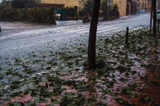 detail of tree breakage caused by the hail storm caused by the meteorological phenomenon DANA in Barcelona- El Bruc, Spain 25 Aug 2022 natural light
