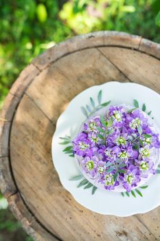 Very beautiful bento cake with purple matthiola flowers with green leaves, top view. Birthday