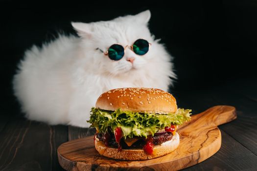 Cute fluffy cat in sunglasses near burger on dark background. Kitty with tasty fast food meal with meat cutlet, onion, vegetables, melted cheese and sauce. High quality photo